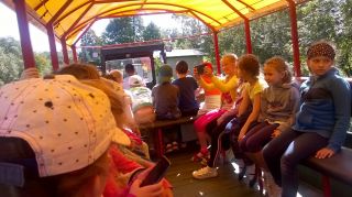 WP_20190912_11_51_22_Pro